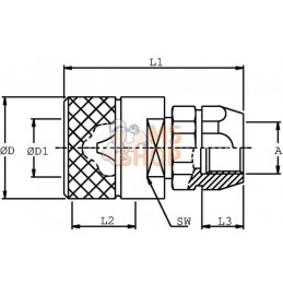 Coupleur à visser mâle 1"1/4 | STAUFF Coupleur à visser mâle 1"1/4 | STAUFFPR#772779