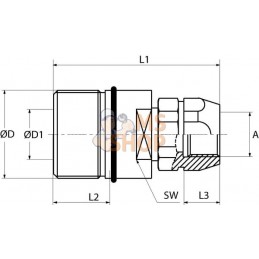 Manchon accouplement 1"1/4 BSP | STAUFF Manchon accouplement 1"1/4 BSP | STAUFFPR#772785