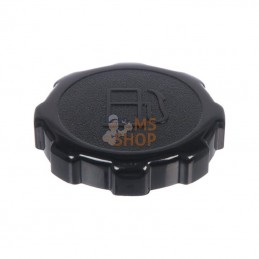 699840; BRIGGS & STRATTON; Bouchon de reservoir; pièce detachée