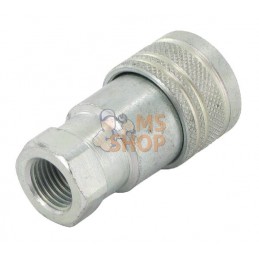 Raccord rapide 1/4" | STIGA Raccord rapide 1/4" | STIGAPR#39042