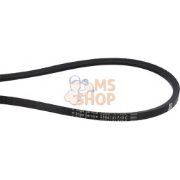 Courroie trapézoïdale pour PTO, Park 4wd+cd 100<br/> | STIGA Courroie trapézoïdale pour PTO, Park 4wd+cd 100<br/> | STIGAPR#9694