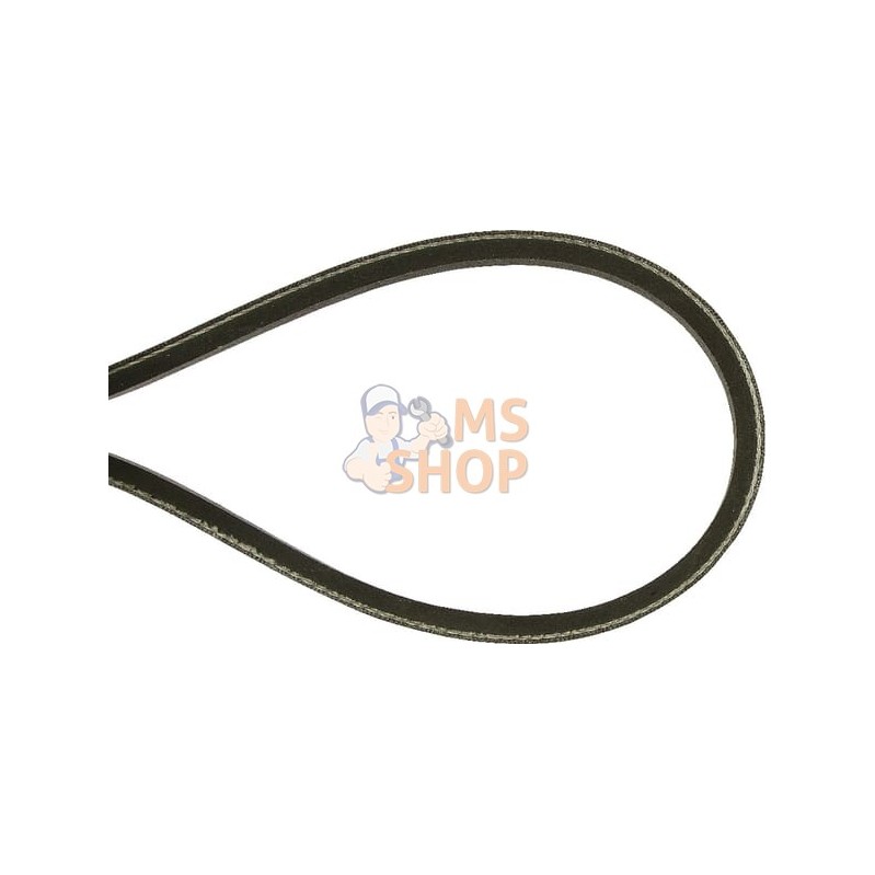 Courroie 10x791 Lp760xDM50 | STIGA Courroie 10x791 Lp760xDM50 | STIGAPR#37073 Courroie 10x791 Lp760xDM50 | STIGA Courroie 10x791 Lp760xDM50 | STIGAPR#37073