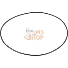 Bague | SPICER DANA Bague | SPICER DANAPR#1110487
