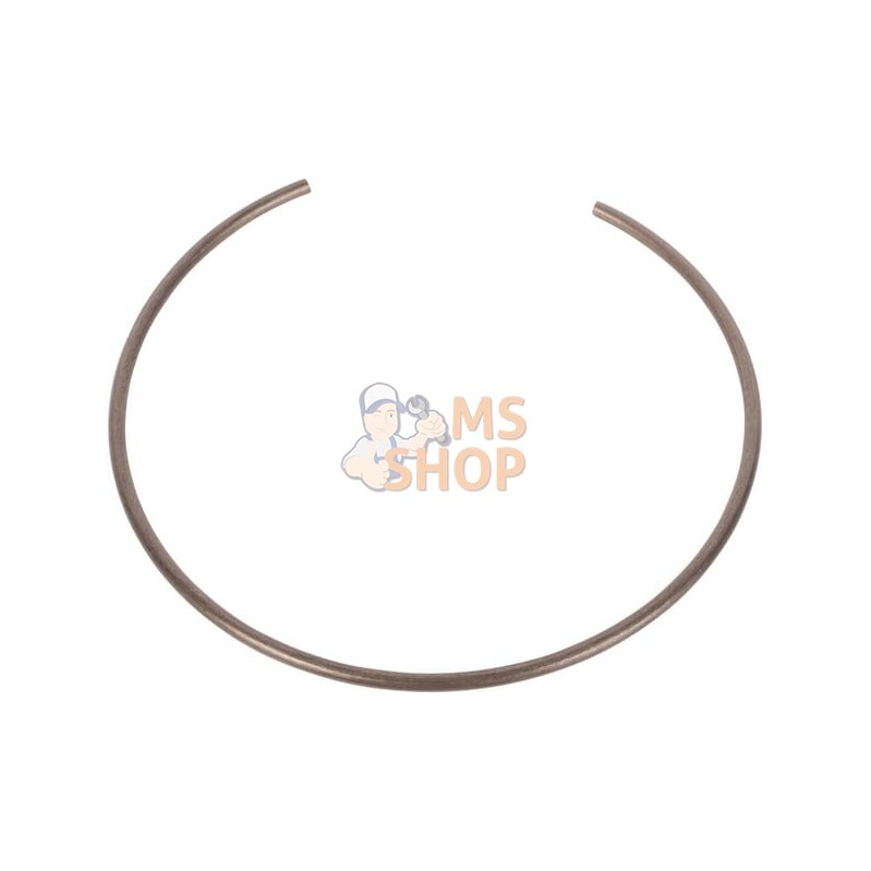 Ring | SPICER DANA Ring | SPICER DANAPR#1076415
