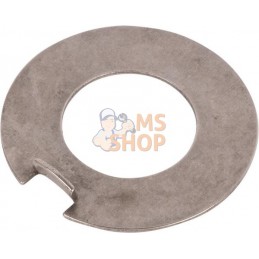Washer | SPICER DANA Washer | SPICER DANAPR#1076585