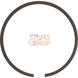 Segments de piston | STIHL Segments de piston | STIHLPR#305378