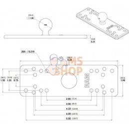 Vis transporteuse 2"x6,25" | RAM Vis transporteuse 2"x6,25" | RAMPR#822782