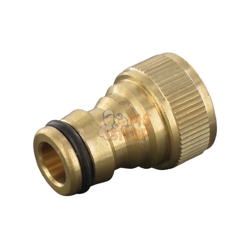 Nipple femelle 1/2" | UNBRANDED Nipple femelle 1/2" | UNBRANDEDPR#904318