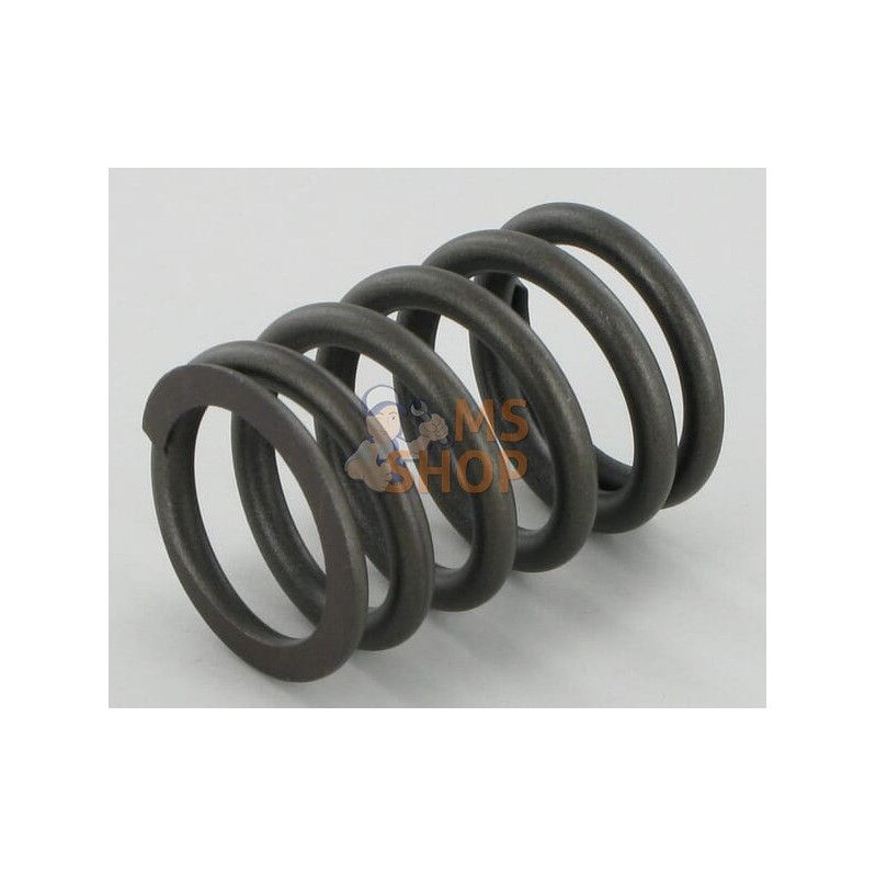Ressort de soupape CNH | UNBRANDED Ressort de soupape CNH | UNBRANDEDPR#633334