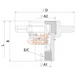 Coupleur à visser fem 3/4 BSP | UNBRANDED Coupleur à visser fem 3/4 BSP | UNBRANDEDPR#779386