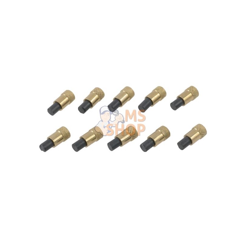 Silex (10 Pièces) | UNBRANDED Silex (10 Pièces) | UNBRANDEDPR#485211 Silex (10 Pièces) | UNBRANDED Silex (10 Pièces) | UNBRANDEDPR#485211