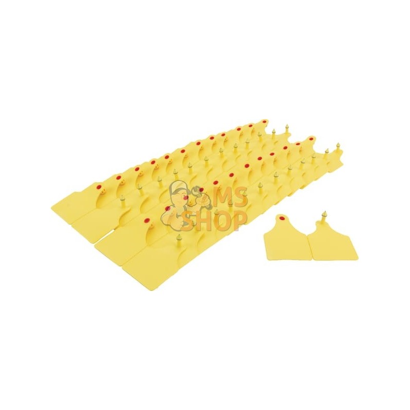 Marque d'oreille type D 25 pcs | UNBRANDED Marque d'oreille type D 25 pcs | UNBRANDEDPR#615079