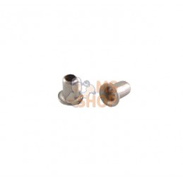 Rivets 100 pcs | UNBRANDED Rivets 100 pcs | UNBRANDEDPR#909598