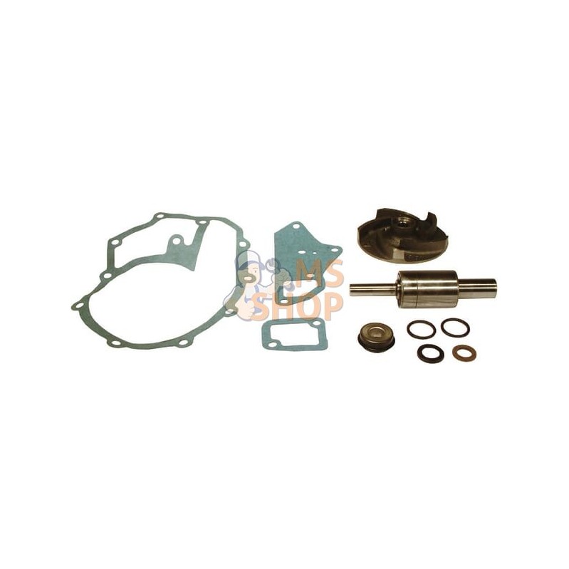Kit de réparation pompe à eau | VAPORMATIC Kit de réparation pompe à eau | VAPORMATICPR#818401