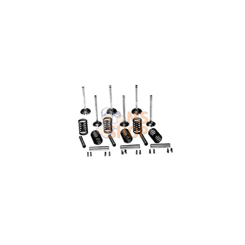 Kit de soupape | VAPORMATIC Kit de soupape | VAPORMATICPR#880853