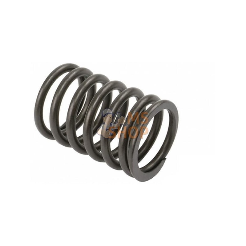 Ressort De Soupape (x8) | VAPORMATIC Ressort De Soupape (x8) | VAPORMATICPR#881014 Ressort De Soupape (x8) | VAPORMATIC Ressort De Soupape (x8) | VAPORMATICPR#881014