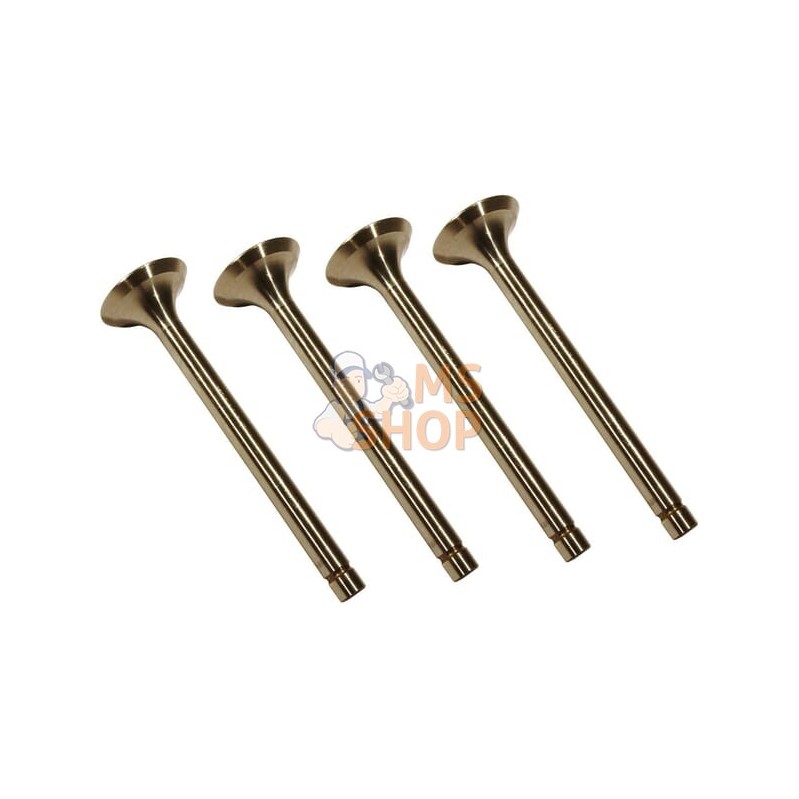 Soupape D'Echappement (x4) | VAPORMATIC Soupape D'Echappement (x4) | VAPORMATICPR#481065 Soupape D'Echappement (x4) | VAPORMATIC Soupape D'Echappement (x4) | VAPORMATICPR#481065