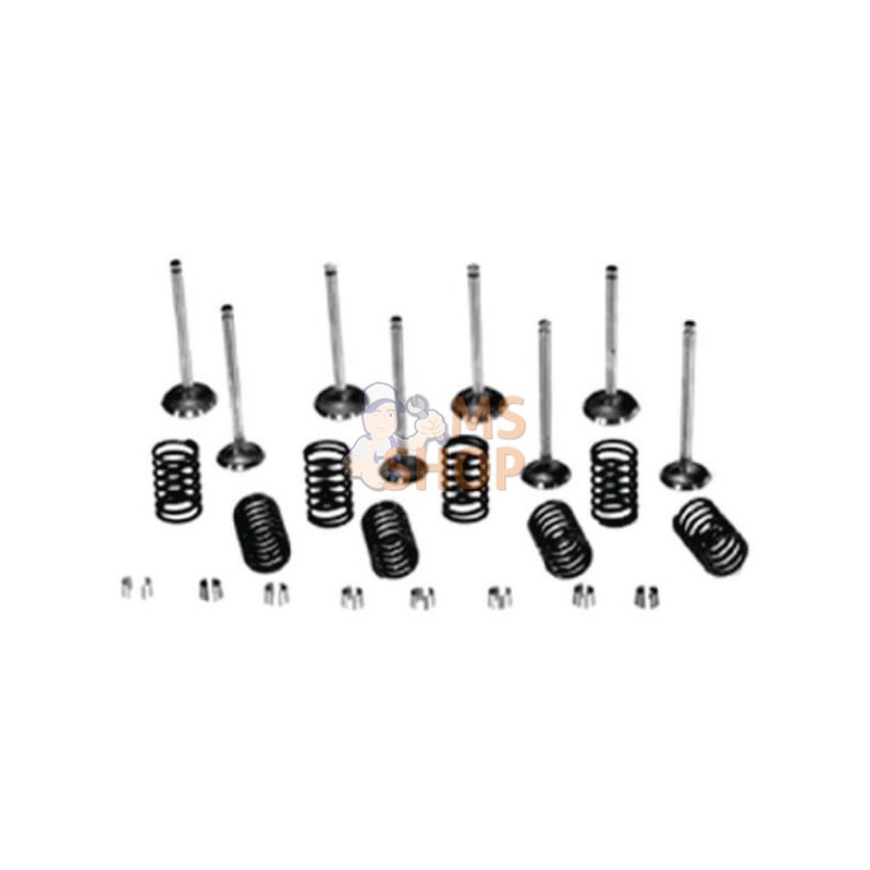 Kit Soupapes Et Ressorts | VAPORMATIC Kit Soupapes Et Ressorts | VAPORMATICPR#818230