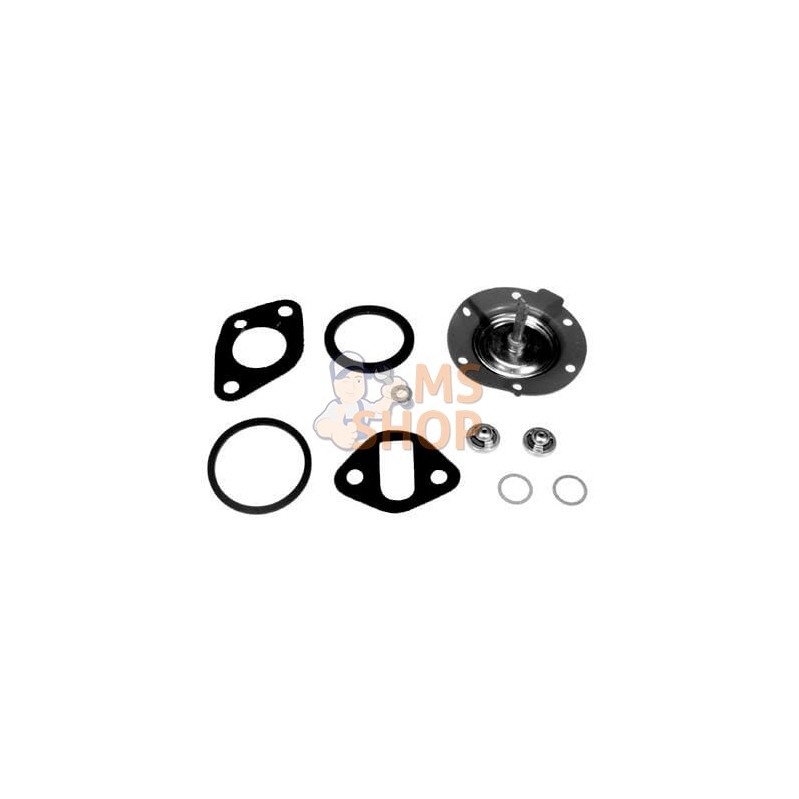 Kit de Pompe à carburant | VAPORMATIC Kit de Pompe à carburant | VAPORMATICPR#511133