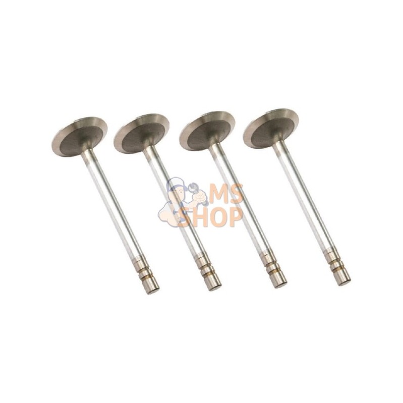 Soupape D'Admission +0.015 (x4) +0.015 " | VAPORMATIC Soupape D'Admission +0.015 (x4) +0.015 " | VAPORMATICPR#818144 Soupape D'Admission +0.015 (x4) +0.015 " | VAPORMATIC Soupape D'Admission +0.015 (x4) +0.015 " | VAPORMATICPR#818144
