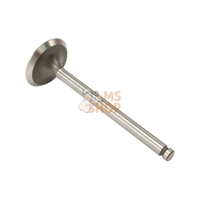 Soupape D'Admission (x4) | VAPORMATIC Soupape D'Admission (x4) | VAPORMATICPR#881221 Soupape D'Admission (x4) | VAPORMATIC Soupape D'Admission (x4) | VAPORMATICPR#881221