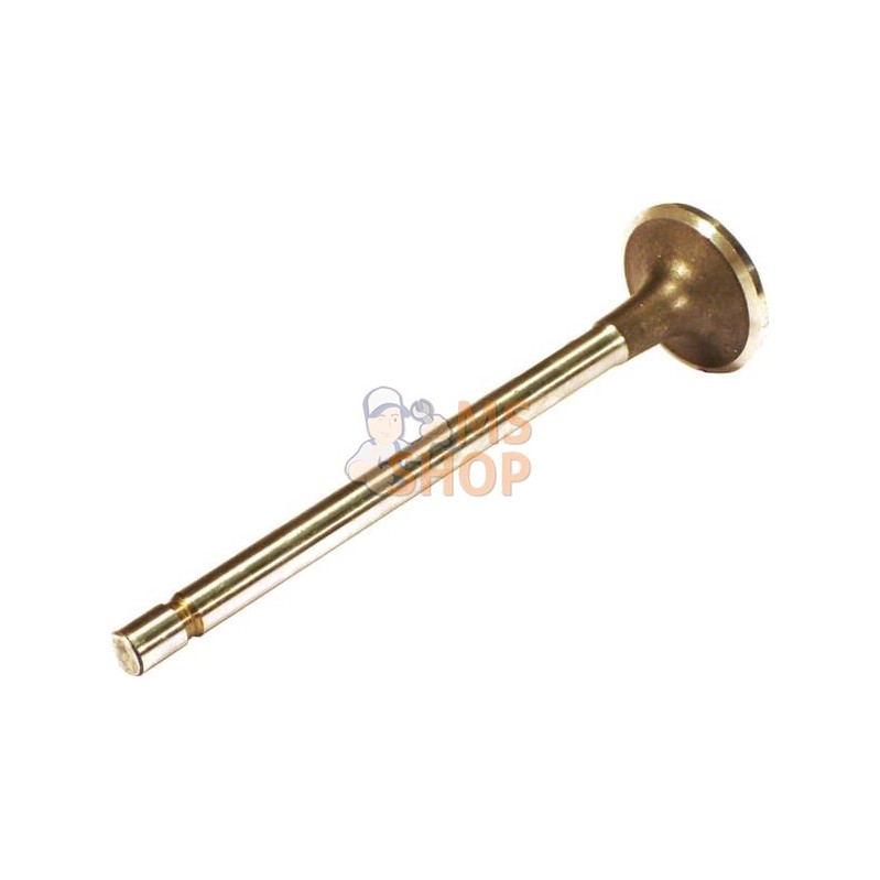 Soupape D'Echappement (x4) | VAPORMATIC Soupape D'Echappement (x4) | VAPORMATICPR#880982