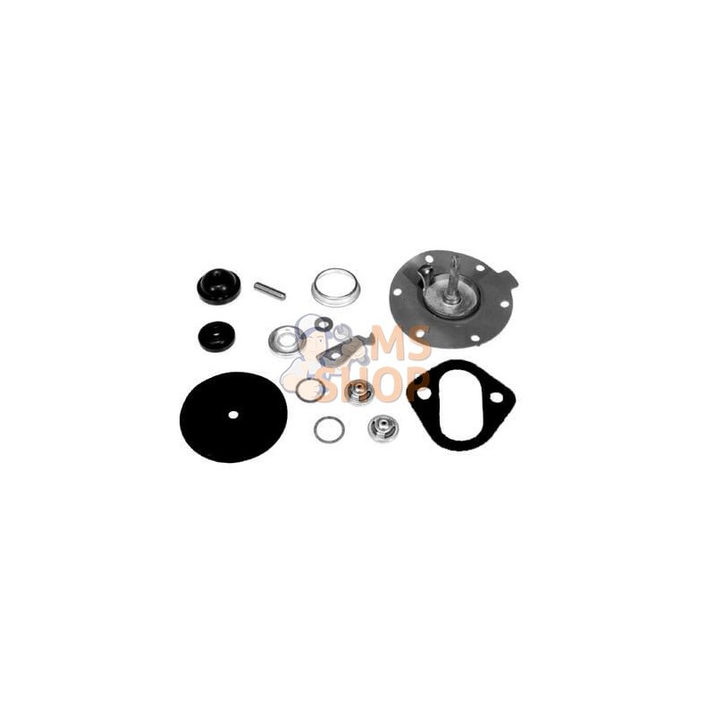 Kit de réparation pompe à carburant | VAPORMATIC Kit de réparation pompe à carburant | VAPORMATICPR#846245