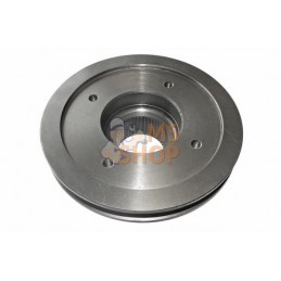 Poulie de vilebrequin | VAPORMATIC Poulie de vilebrequin | VAPORMATICPR#845681