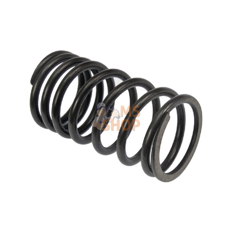 Ressort De Soupape (x8) | VAPORMATIC Ressort De Soupape (x8) | VAPORMATICPR#881016 Ressort De Soupape (x8) | VAPORMATIC Ressort De Soupape (x8) | VAPORMATICPR#881016