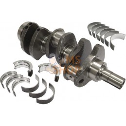 Ensemble de vilebrequin | VAPORMATIC Ensemble de vilebrequin | VAPORMATICPR#844228