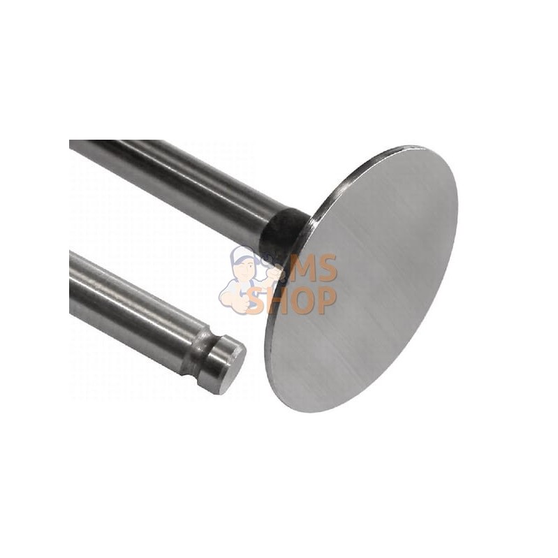 Soupape D'Admission (x4) | VAPORMATIC Soupape D'Admission (x4) | VAPORMATICPR#881220 Soupape D'Admission (x4) | VAPORMATIC Soupape D'Admission (x4) | VAPORMATICPR#881220