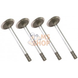 Soupape D'Admission (x4) | VAPORMATIC Soupape D'Admission (x4) | VAPORMATICPR#818143