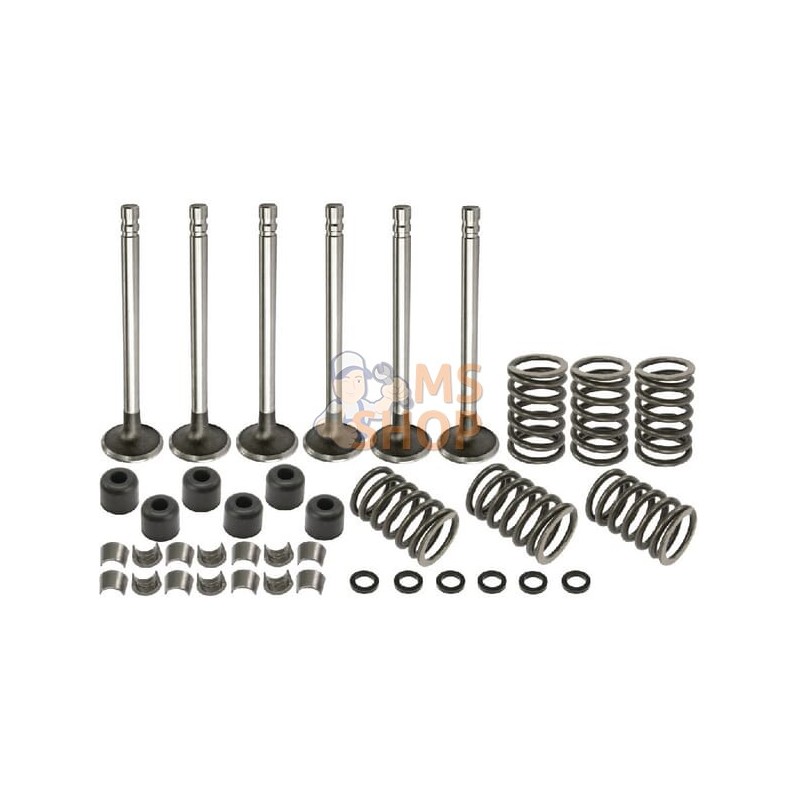 Kit Soupapes | VAPORMATIC Kit Soupapes | VAPORMATICPR#880823