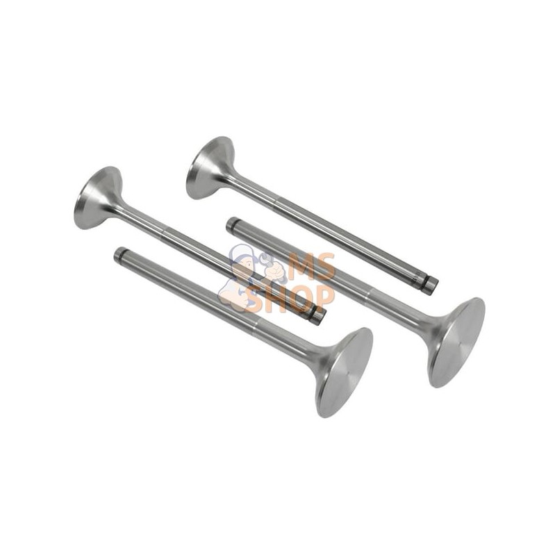 Soupape D'Admission (x4) | VAPORMATIC Soupape D'Admission (x4) | VAPORMATICPR#881268 Soupape D'Admission (x4) | VAPORMATIC Soupape D'Admission (x4) | VAPORMATICPR#881268