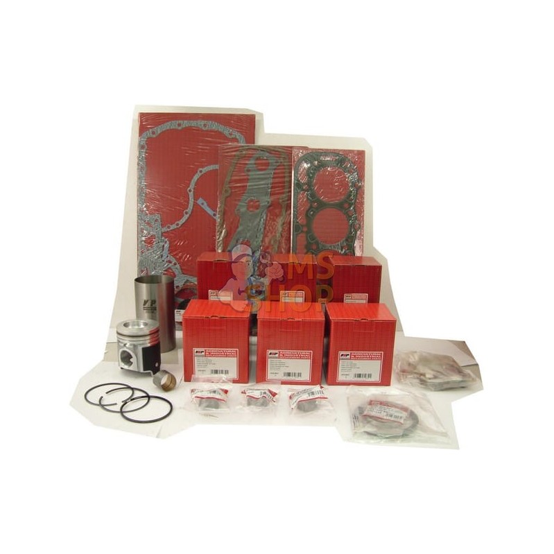Kit De Revision De Moteur | VAPORMATIC Kit De Revision De Moteur | VAPORMATICPR#880525