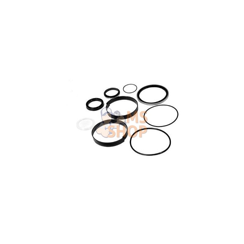 Kit de joint de vérin | VAPORMATIC Kit de joint de vérin | VAPORMATICPR#880809