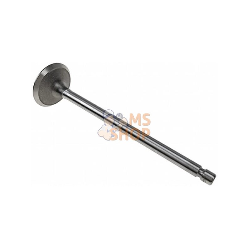 Soupape échappement STD | VAPORMATIC Soupape échappement STD | VAPORMATICPR#881296