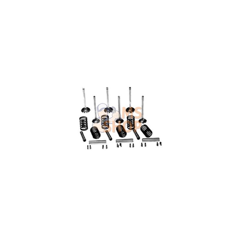 Kit de soupape | VAPORMATIC Kit de soupape | VAPORMATICPR#881374