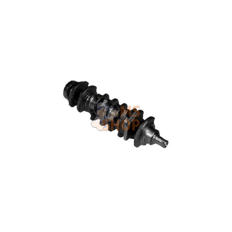 Vilebrequin | VAPORMATIC Vilebrequin | VAPORMATICPR#880205