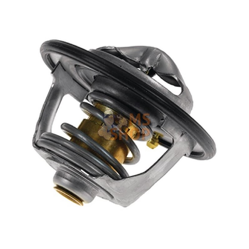 Thermostat | VAPORMATIC Thermostat | VAPORMATICPR#880603