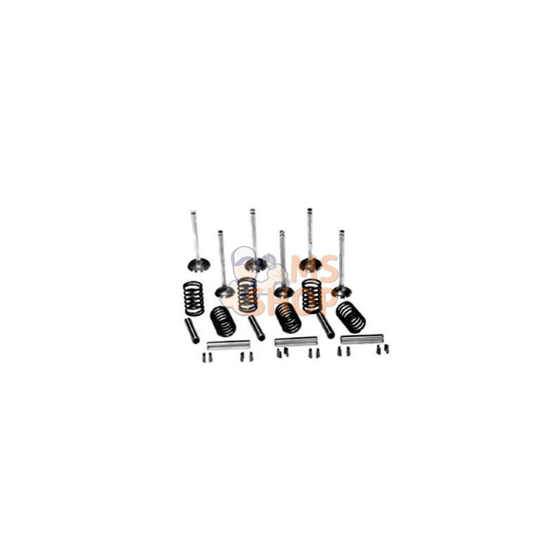 Kit de soupape | VAPORMATIC Kit de soupape | VAPORMATICPR#881377