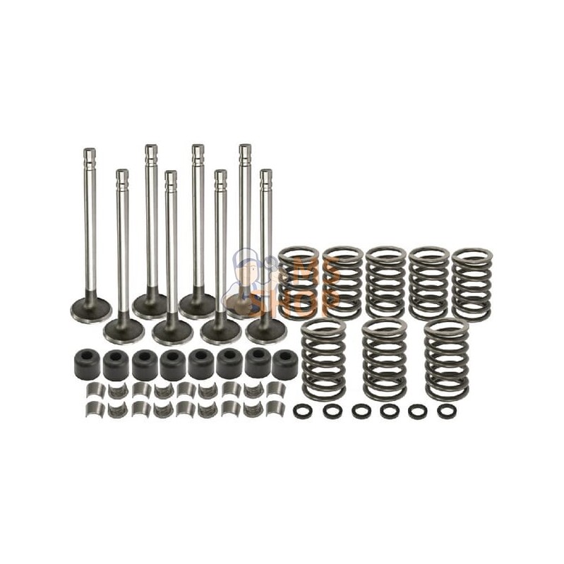 Kit Soupapes | VAPORMATIC Kit Soupapes | VAPORMATICPR#880829