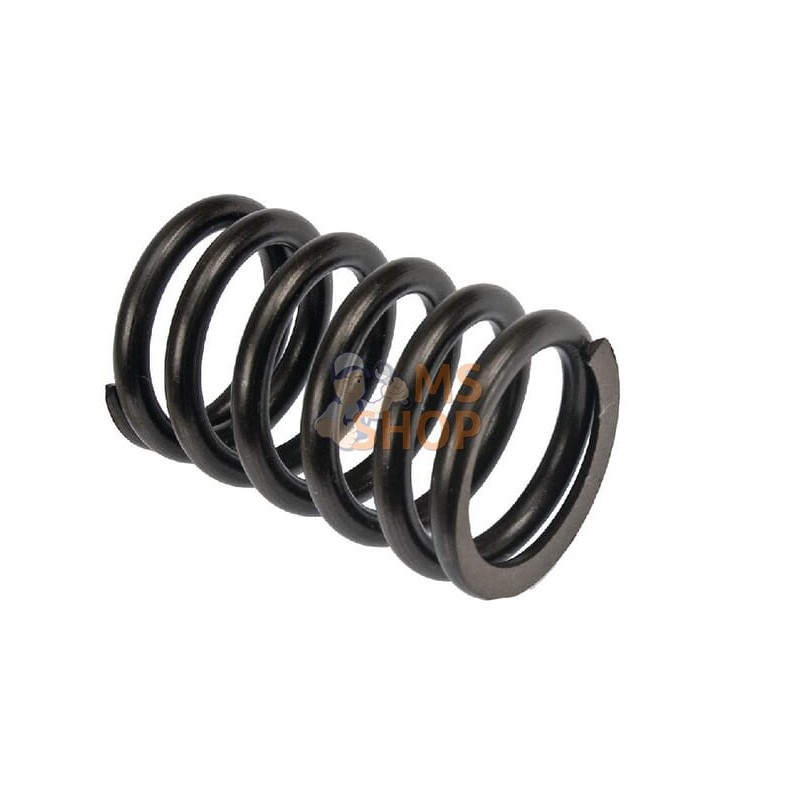 Ressort De Soupape (x8) | VAPORMATIC Ressort De Soupape (x8) | VAPORMATICPR#818149