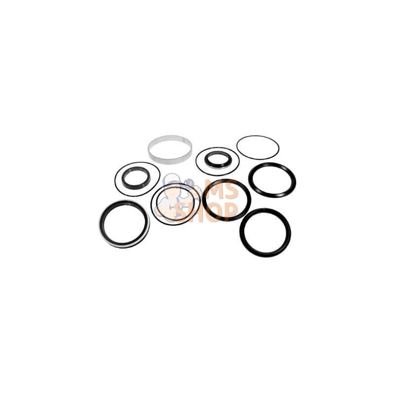 Kit de joint de vérin | VAPORMATIC Kit de joint de vérin | VAPORMATICPR#880778