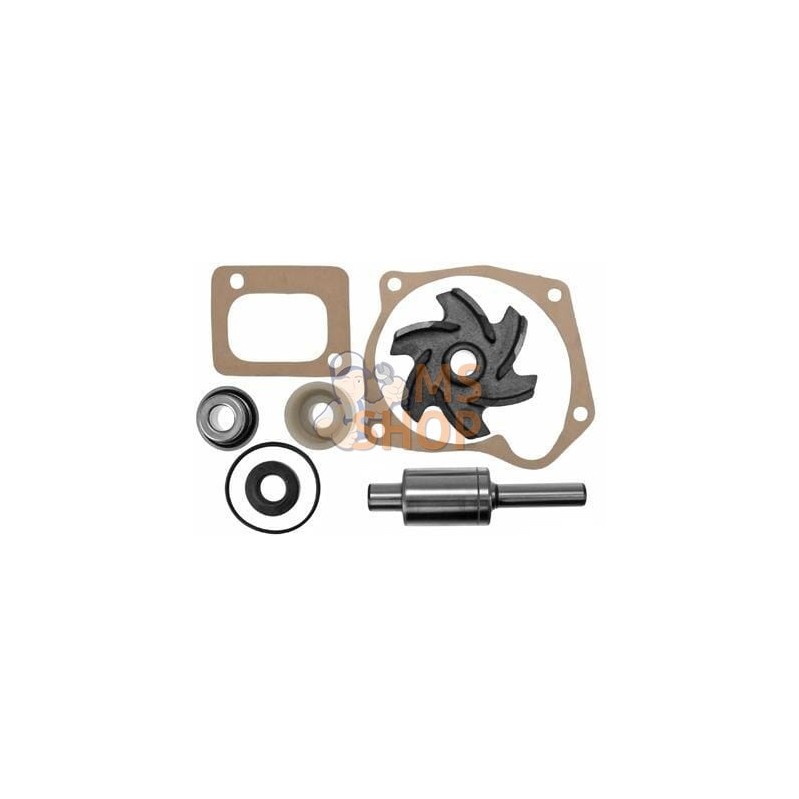 Kit de réparation pompe à eau | VAPORMATIC Kit de réparation pompe à eau | VAPORMATICPR#818403
