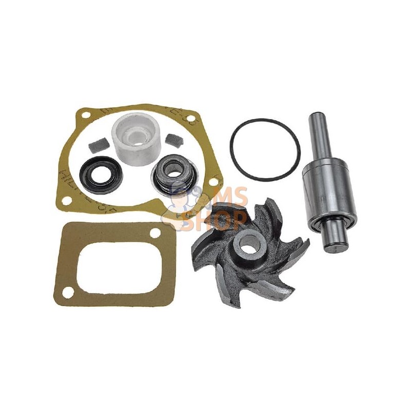 Kit de réparation pompe à eau | VAPORMATIC Kit de réparation pompe à eau | VAPORMATICPR#818402