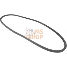 Courroie de ventilateur | VAPORMATIC Courroie de ventilateur | VAPORMATICPR#878854