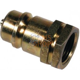 Coupleur Rapide Male 1/2 " 1/2 " BSP | VAPORMATIC Coupleur Rapide Male 1/2 " 1/2 " BSP | VAPORMATICPR#846283
