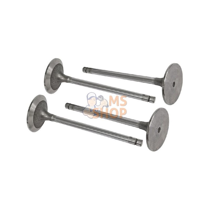 Soupape D'Admission (x4) | VAPORMATIC Soupape D'Admission (x4) | VAPORMATICPR#818233 Soupape D'Admission (x4) | VAPORMATIC Soupape D'Admission (x4) | VAPORMATICPR#818233
