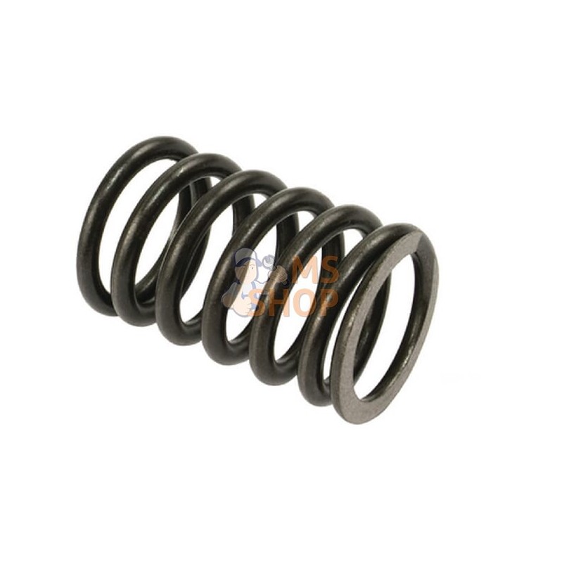 Ressort De Soupape (x8) | VAPORMATIC Ressort De Soupape (x8) | VAPORMATICPR#881004 Ressort De Soupape (x8) | VAPORMATIC Ressort De Soupape (x8) | VAPORMATICPR#881004